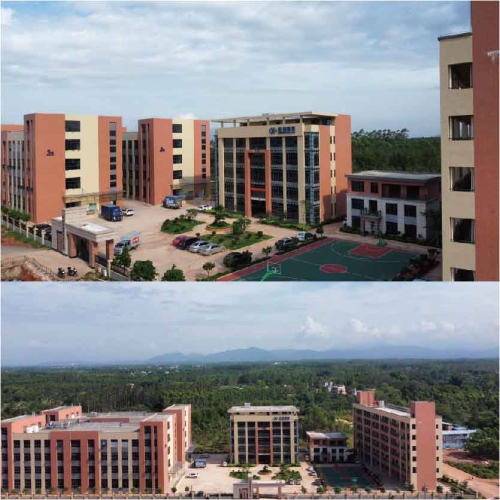 Celebrate the Completion and Commissioning of BUOYANT's 20,000 - Square - Meter Integrated Indu
