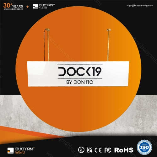 Manufacturer of Suspended Acrylic Light